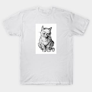 Vintage Victorian style cat engraving T-Shirt